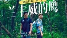 呆萌动物对对碰